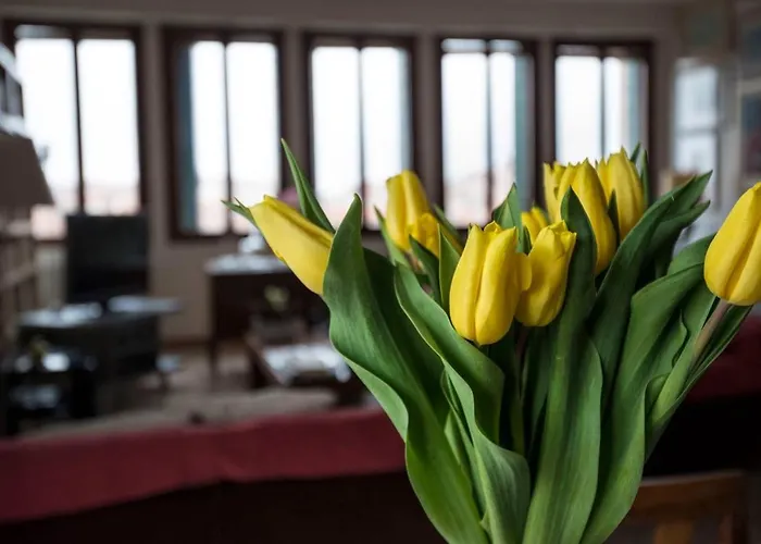 Casa Loredan Pensión